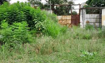 Imagem 5: Excelente área para a sua empresa com 1330m² Vila carrão!