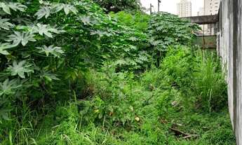 Imagem 4: Excelente área para a sua empresa com 1330m² Vila carrão!