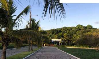 Imagem 4: Lote em pipa em condomino fechado, area em pipa em condomínio fechado