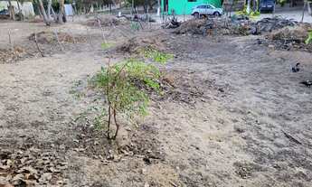 Imagem 2: Lote em pipa, area em pipa para construir