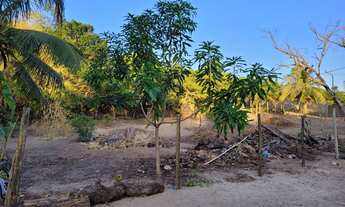 Imagem 7: Lote em pipa, area em pipa para construir