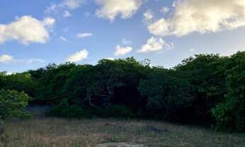 Imagem 7: TERRENO RESIDENCIAL em TIBAU DO SUL - RN, CENTRO