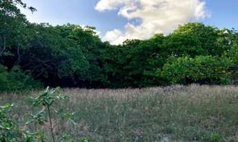 Imagem 5: TERRENO RESIDENCIAL em TIBAU DO SUL - RN, CENTRO