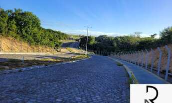 Imagem 6: Lotes em pipa, terreno em pipa