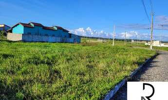 Imagem 5: Lotes em pipa, terreno em pipa