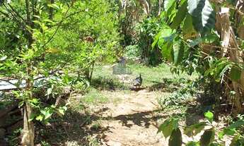 Imagem 4: SÍTIO A VENDA PROXIMO DO CENTRO DE SÃO LUIZ DO PARAITINGA