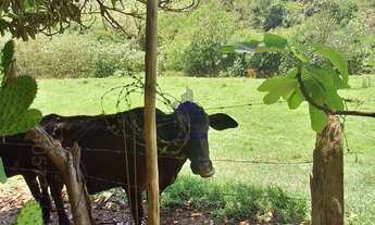 Imagem 2: SÍTIO A VENDA PROXIMO DO CENTRO DE SÃO LUIZ DO PARAITINGA