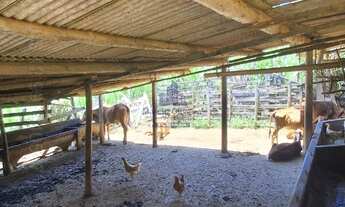 Imagem 6: SÍTIO A VENDA PROXIMO DO CENTRO DE SÃO LUIZ DO PARAITINGA