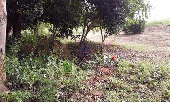 Imagem 4: Sitio vende em sao luis do paraitinga