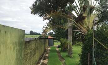 Imagem 4: Chácara, vista alegre, 3 dormitórios sendo 1 suíte, piscina, churrasqueira, gramado