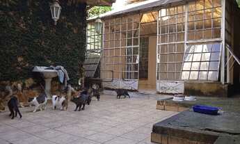 Imagem: Aluga-se excelente ponto comercial próximo