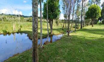 Imagem: Oportunidade única Fazenda à venda em