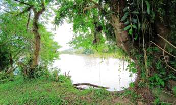 Imagem 2: Vendo terreno com 796m² localizado no centro de Biguaçu com acesso para o Rio Biguaçu