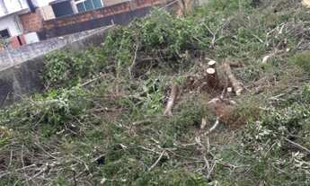 Imagem 4: Vendo terreno com 616m², no bairro Areias, com viabilidade residencial e comercial!