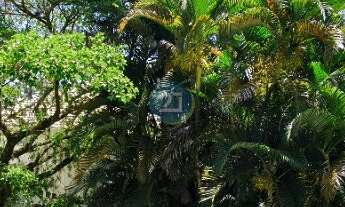 Imagem 7: Vendo Apartamento com 02 suítes, 01 vaga de garagem, com condominio completo no bairro Joã