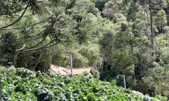 Imagem 7: HOTEL FAZENDA RESORT TERRENO IDEAL PARA LOTEAMENTO 20 CHALÉS 473,61 Hectares. Bocaiúva do