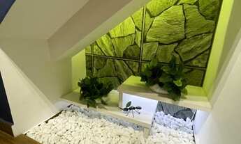 Imagem 2: Casa com 3 Quartos e 3 banheiros à Venda, 219 m² por R$ 1.350.000 Jardim do Lar _SP proxi