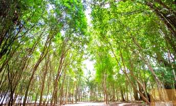 Imagem 3: Sitio rural para Venda com 24.000,00 m² de natureza e conforto em Casa Branca - SP