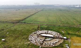 Imagem 6: Fazenda para lotear 524 hectares ou 5.240.000 mil M2 a 90 kms da Capital de São Paulo