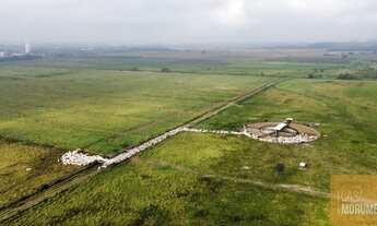 Imagem 3: Fazenda para lotear 524 hectares ou 5.240.000 mil M2 a 90 kms da Capital de São Paulo