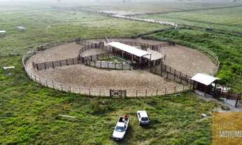 Imagem 7: Fazenda para lotear 524 hectares ou 5.240.000 mil M2 a 90 kms da Capital de São Paulo