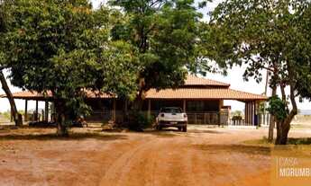 Imagem: Venda de Fazenda de 312,57 alqueires em