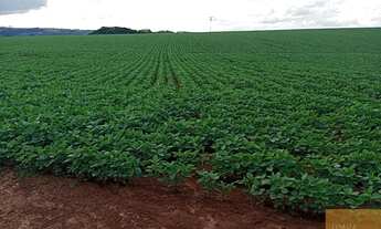 Imagem 5: Fazenda à venda: 99 alqueires na cidade de Araçoiaba (Interior de SP) - EXCELENTE OPORTUNI