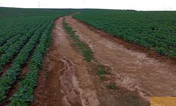 Imagem 2: Fazenda à venda: 99 alqueires na cidade de Araçoiaba (Interior de SP) - EXCELENTE OPORTUNI