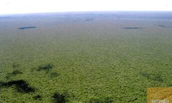 Imagem 3: Fazenda a Venda 93.000 HECT. com pista de pouso. Bom Jesus de Piaui R$ 520.000.000,00