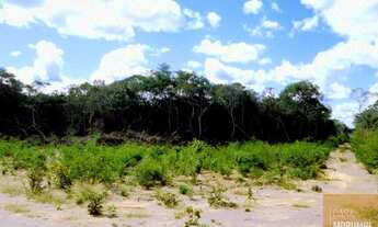 Imagem 6: Fazenda a Venda 93.000 HECT. com pista de pouso. Bom Jesus de Piaui R$ 520.000.000,00