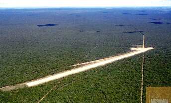 Imagem: Fazenda a Venda 93.000 HECT. Com pista de