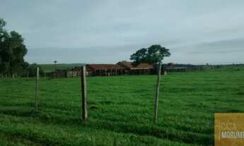 Imagem 2: Imperdível oportunidade de investimento: Fazenda de 610 alqueires à venda em Mato Grosso d