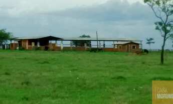 Imagem 3: Imperdível oportunidade de investimento: Fazenda de 610 alqueires à venda em Mato Grosso d