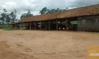 Imagem 4: Imperdível oportunidade de investimento: Fazenda de 610 alqueires à venda em Mato Grosso d