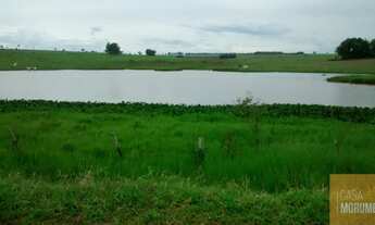 Imagem 5: Imperdível oportunidade de investimento: Fazenda de 610 alqueires à venda em Mato Grosso d