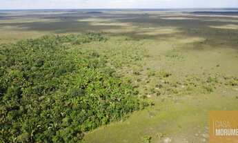 Imagem: FAZENDA A VENDA 10.500 (DEZ MIL )HECTARES