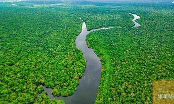 Imagem: FAZENDA A VENDA NA AMAZONAS DE AREA TOTAL