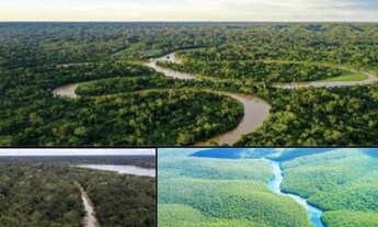Imagem 2: Área à venda em Amazonas - Crédito de Carbono 5.747ha de área - Oportunidade imperdível!