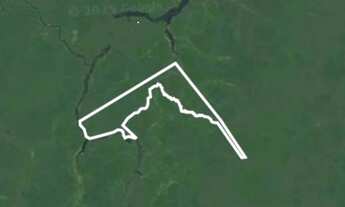 Imagem: Área à venda em Amazonas-AM 110.000 hectares