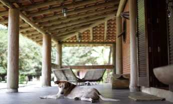 Imagem 6: Hotel Fazenda Resort área de 2.400.000 (Dois milhões e Quatrocentos Mil Metros Quadrados