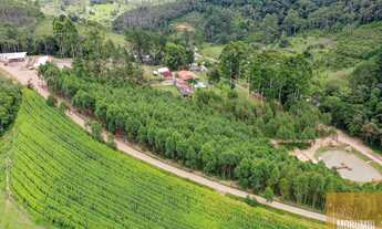 Imagem 5: A venda Fazenda à Venda 40 Alqueires (paulistas) 100 hectares em Ibiúna R$ 2300.000