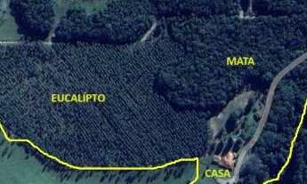 Imagem: Fazenda/Sítio com 5 Quartos e 8 banheiros