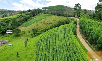 Imagem 3: A venda Fazenda à Venda 40 Alqueires (paulistas) 100 hectares em Ibiúna R$ 2300.000