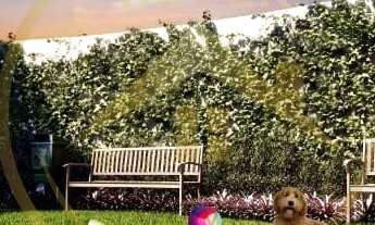 Imagem 2: Lançamento de apartamentos no bairro Morumbi em Paulínia. São 4 torres com 11 andares + té