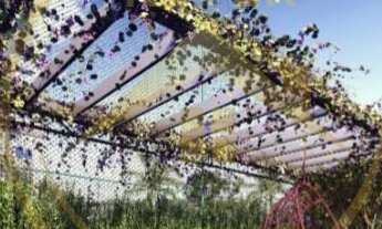 Imagem 3: Lançamento de apartamentos no bairro Morumbi em Paulínia. São 4 torres com 11 andares + té