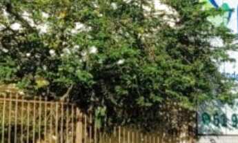 Imagem: IMÓVEL COMERCIAL NO PISTÃO SUL DO GAMA