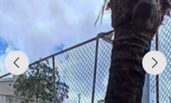 Imagem 4: LOTE À VENDA CONDOMÍNIO OURO VERMELHO II