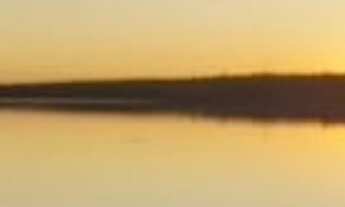 Imagem 7: FAZENDA À VENDA 37,5 HECTARES MAMBAÍ/GO