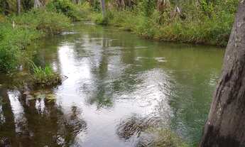 Imagem 5: FAZENDA À VENDA 37,5 HECTARES MAMBAÍ/GO