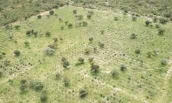 Imagem: FAZENDA À VENDA 37,5 HECTARES MAMBAÍ/GO